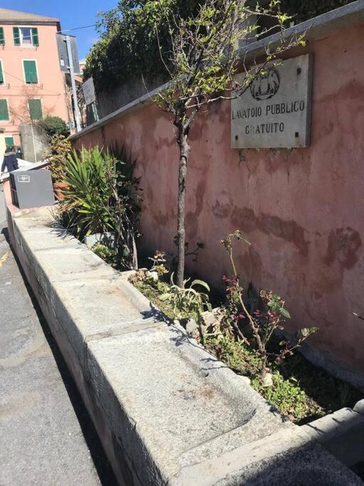 Pisi Home, 2 Min Dalla Spiaggia E Dall' Ospedale Gaslini Janov Exteriér fotografie