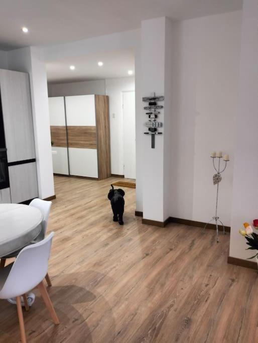 Pisi Home, 2 Min Dalla Spiaggia E Dall' Ospedale Gaslini Janov Exteriér fotografie